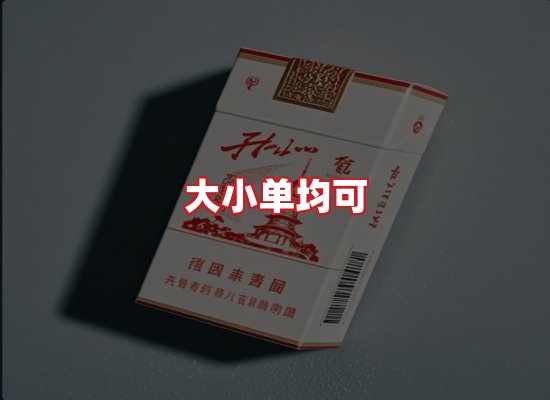 专业团队